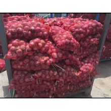 Exportação de cebola fresca / vegetal / com alta qualidade